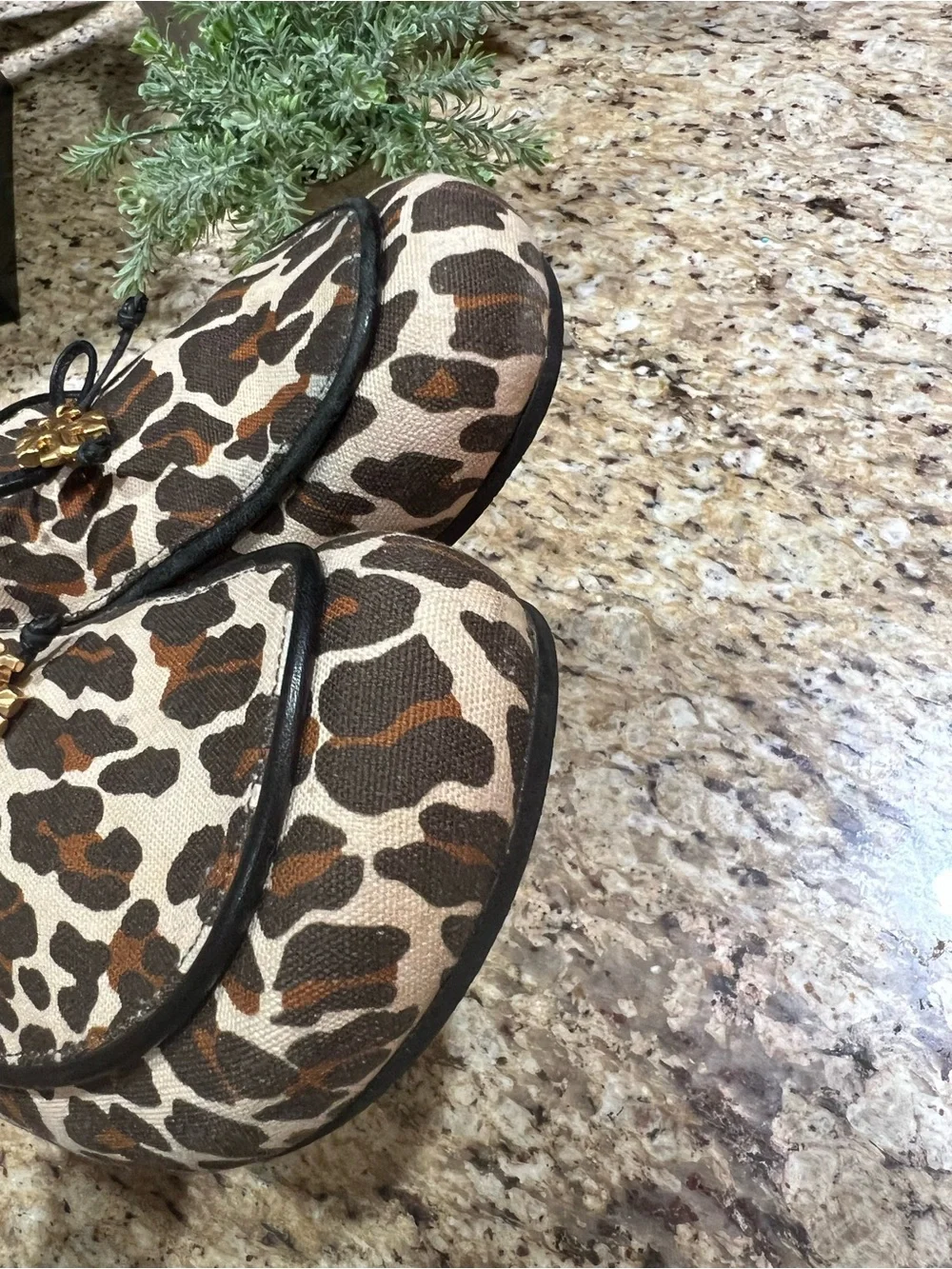 Tory Burch Leo Charm Leopard Print Slip-On Mules with Gold Accent 10M